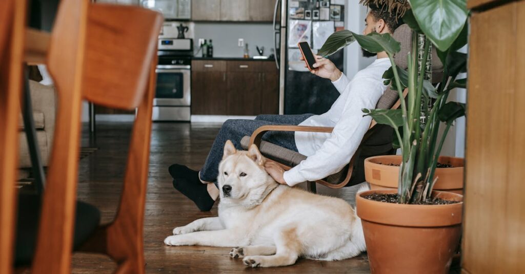 La communication animale : Un voyage intuitif au cœur des interactions humain-animal