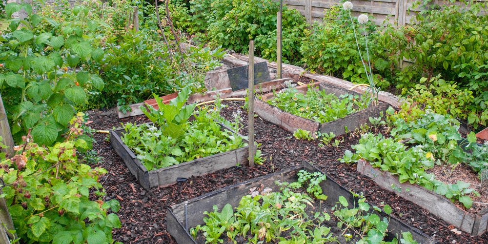 Qu’est-ce qu’un jardin en permaculture ?